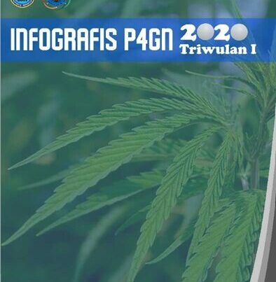 INFOGRAFIS P4GN TRIWULAN I TAHUN 2020