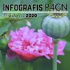 INFOGRAFIS P4GN TRIWULAN II TAHUN 2020