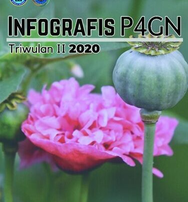 INFOGRAFIS P4GN TRIWULAN II TAHUN 2020