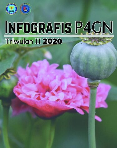 INFOGRAFIS P4GN TRIWULAN II TAHUN 2020 INFOGRAFIS P4GN TRIWULAN II TAHUN 2020