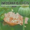 INFOGRAFIS P4GN TRIWULAN III TAHUN 2020