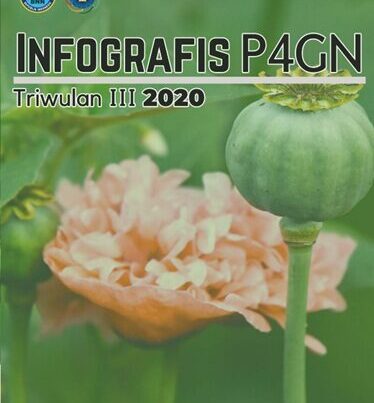 INFOGRAFIS P4GN TRIWULAN III TAHUN 2020