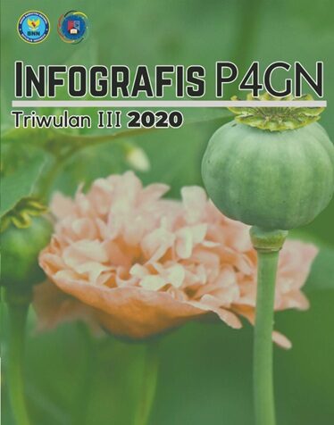 INFOGRAFIS P4GN TRIWULAN III TAHUN 2020