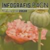 INFOGRAFIS P4GN TRIWULAN IV TAHUN 2020