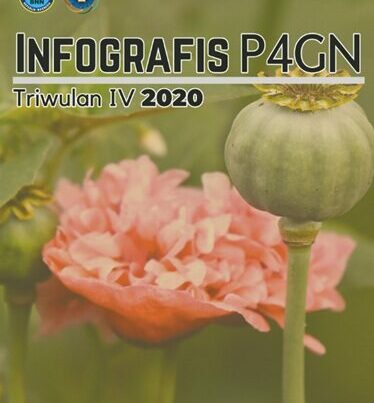 INFOGRAFIS P4GN TRIWULAN IV TAHUN 2020